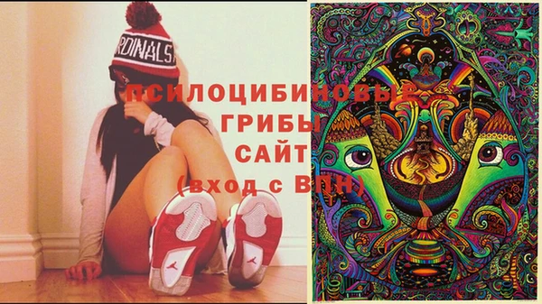гидропоника Аркадак