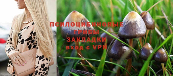 гидропоника Аркадак