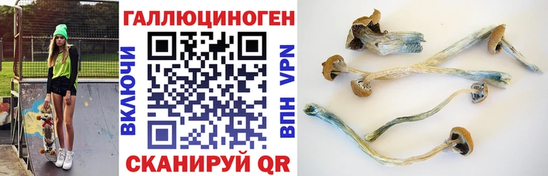 Купить закладки  Лесной  Псилоцибиновые грибы Psilocybe 